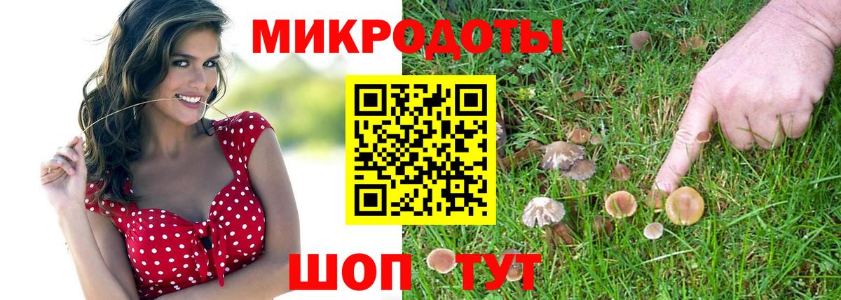 Зеленогорск  Псилоцибиновые грибы MAGIC MUSHROOMS  Вход с VPN 