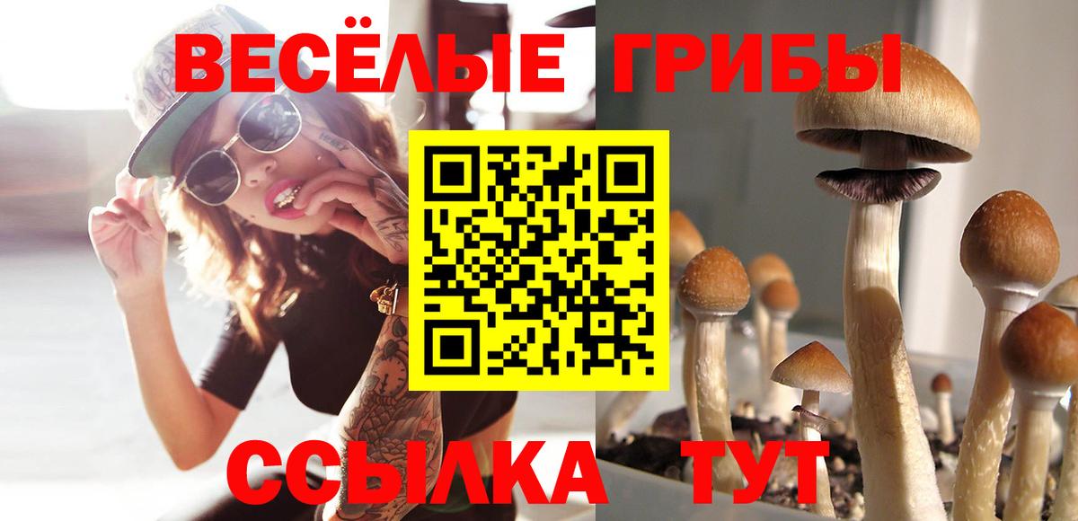 Псилоцибиновые грибы прущие грибы Зеленогорск